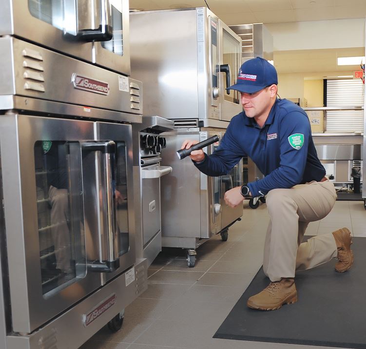 Commercial Pest Control